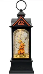 Halloween Snow Globe Lantern,with 6 Hour Timer, USB Powered & Battery Operated