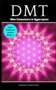 Dmt: Alien Encounters in Hyperspace by Fabrikant, Samson, Brand New, Free shi...