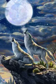 Wolf Howling at Moon Water Mountain Picture Room Wall Decor - POSTER 20x30
