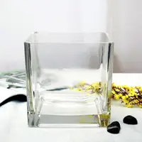 在飛比找PChome24h購物優惠-方形魚缸多用途透明玻璃花瓶花器15*15CM