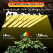 PHLIZON BAR-4000W LED Grow Light Samsung LED Full Spectrum for All Indoor Plants
