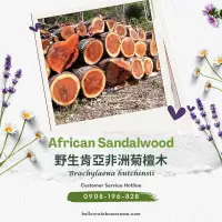 在飛比找蝦皮購物優惠-SC-3925，African Sandalwood，野生肯