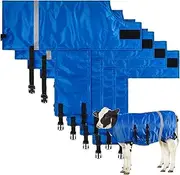 4 Pcs Winter Calf Blanket Calf Warm Clothes Waterproof Calf Warming Blanket Windproof Calf Jacket Livestock Calf Saver Coat for Keeping Cow Baby Warm Thickened Belly Protection (Common Style), Blue, As shown in the picture