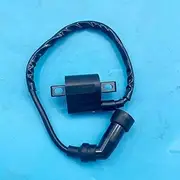 Motorcycle Styling IGNITION COIL FOR YAMAHA for YFM350 for YFM 350 MOTO-4 ATV QUAD 1987-1999 2000-2004 Parts