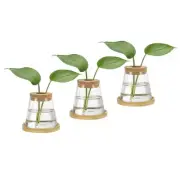 3 Pcs Plant Propagation Station Glass Vases with Wooden Tray & Lid, Brown