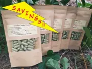 600 veg caps BARGAIN Gumby Gumby purity, buy in confidence ORGANICALLY GROWN