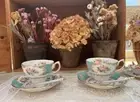 Made In England Royal Albert Lady Ascot Cup Saucer 2 From Japan