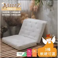 在飛比找蝦皮購物優惠-全新_Alizzz三折12cm床墊 (有三張床全新沒用過)台