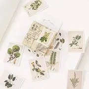 Small Size Plants Stamps Scrapbook Stickers, 45pcs Doraking Boxed DIY Decoration Scrapbook Plants Stickers for Laptop, Planners, Scrapbook, Suitcase, Notebooks, Album(Plants Stamp, 45pcs/ Box)