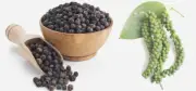 200 gram of Black Peppercorn- Tiêu Đen