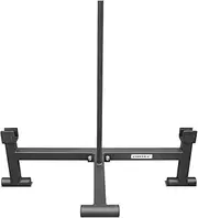 Lifespan Fitness Barbell Lifter and Weight Storage