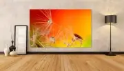 dandelion-droplets-nature-macroWALL ARTS SCENERY high quality Canvas home decor