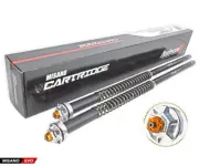 Kit Andreani Misano evo Showa 41 Cartridge Harley Davidson FLH/FLT 1990 > 2013