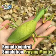RC Animal Robot Antistress Insect Toy Infrared Simulation Spider Electric Toy