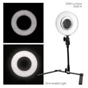 1PACK 8" LED Ring Light Kit w/ Mini Stand Dimmable Stream Makeup Phone Camera