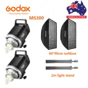 2X Godox MS300 300Ws Compact Studio Flash + 60*90cm Grid Softbox + Light stand
