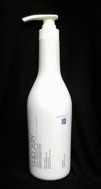 在飛比找Yahoo!奇摩拍賣優惠-WEM 希拉蕊 SHELARY 極凍海洋洗髮精1000ml 