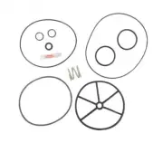 Multiport Valve Rebuild Kit w/ Spring