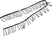 WEKAMOS Beaded Fringe Trim Crystal Tassel for DIY Clothing Durable Beaded Decor for Crafts Versatile for Weddings Parties Handmade Accessories