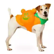 Disney Parks Mickey jack o' lantern Pumpkin Glow in The Dark Costume Pets Small
