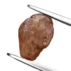 Certified 5.45ct Natural Unheated Champagne Sapphire Tanzania Rough 13x8.9mm