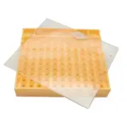 Bee Brood Box Queen Bee Lay Eggs Cage Beekeeping Rearing Apiculture Supplies