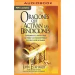 ORACIONES QUE ACTIVAN LAS BENDICIONES: EXPERIMENTE LA PROTECCIóN, EL PODER Y EL FAVOR DE DIOS EN SU VIDA Y LA DE SU FAMILIA