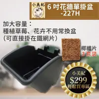 在飛比找momo購物網優惠-【小美紀】6吋花牆單掛盆-加大 3片裝-加大防風盆專用椰纖片