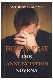How to Pray the Annunciation Novena by Anthony J. Adams Paperback Book