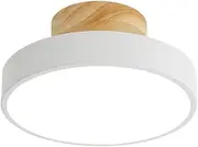 XINYASEE Simple Balcony Chandelier, Corridor LED Lights (Three Colours Changing Light) Small Ceiling lamp Corridor Kitchen Chandelier (White) (White)