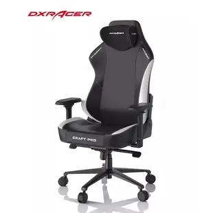 DXRacer 電競賽車椅 CRAFT  熊貓黑白配色 D5000-BKW