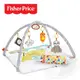 Fisher-Price 費雪 感官訓練可愛動物健身器【佳兒園婦幼館】