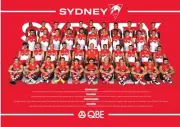 LAMINATED big 420mm SYDNEY SWANS TEAM POSTER ,AFL FOOTBALL