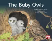 The Baby Owls
