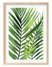 [Profile Australia] Australian Made Kentia Palm Leaves Art Print A1 Frame in Natural