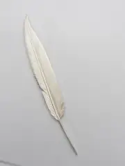 Pen: Jacket Pin In Silver 925 - Feather - Writer - Writing Quill