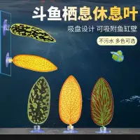 在飛比找蝦皮購物優惠-鬥魚產卵葉魚缸造景觀賞水草仿真爬寵餵食葉鬥魚休息孵化葉鬥魚床