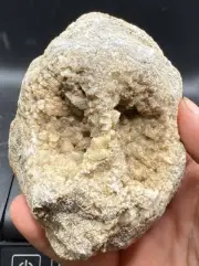 Fossilized Coral Devonian Crystal Indiana Quartz Calcite Limestone 645 Grams