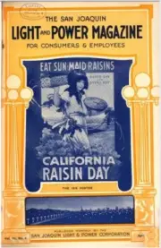 SAN JOAQUIN LIGHT & POWER 83 Select Issue Collection On USB Flash Drive