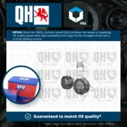 Aux Belt Tensioner QTA1075 Quinton Hazell Drive V-Ribbed 11281745546 Quality New