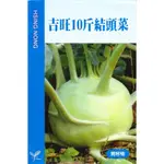 種子王國 吉旺10斤結頭菜 結頭菜【蔬果種子】 蔓菁、諸葛菜、大頭菜 需移植 甜度高 品質好 興農種苗 每包約65粒