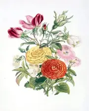 Bouquet Flowers Rose Accent Tile Mural Kitchen Bathroom Wall Backsplash Ceramic