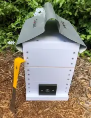 Stingless Native Bee Hive Honey Super Roof Composite OATH BeeHive Inc Hive Tool