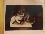 NORMA HUDSON 1982 STARTLED BLACK WHITE CAT PAINTING PATTERN