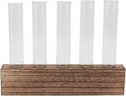 Plant Propagation Station, Glass Plant Propagation Tubes Desktop Plant Terrarium, Wooden Stand with 5/6 Test Tubes, for Hydroponics Water Plants Cutting, Home Garden Office Decor (5 Tubes)