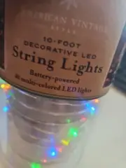 American Vintage Battery Op LED multi colored String Lights 10’ es165
