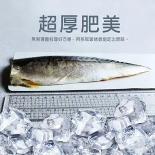 買1送1組【築地一番鮮】厚片超大挪威薄鹽鯖魚10片(210g/片 加贈10片共20片)免運組