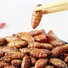 80g*2 bags Fried Silkworm Pupa Instant Crispy Silkworm Pupa Snack Chinese Food