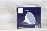 BLUE SQUARE VIVID 35W LED POOL BULB-WT (120V) -W-5000K