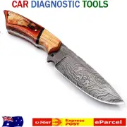 Damascus Knives for Hunting Skinning - Fixed Blade Knife with Sheath..